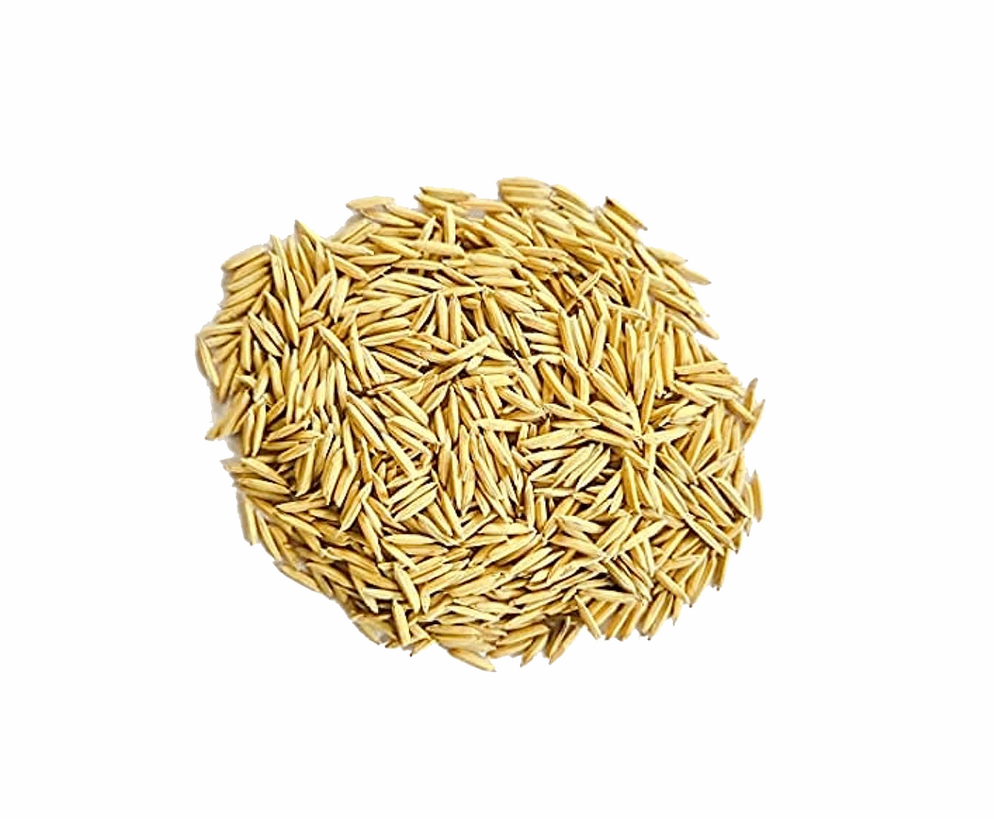 Dhan 50g - Indian Spices