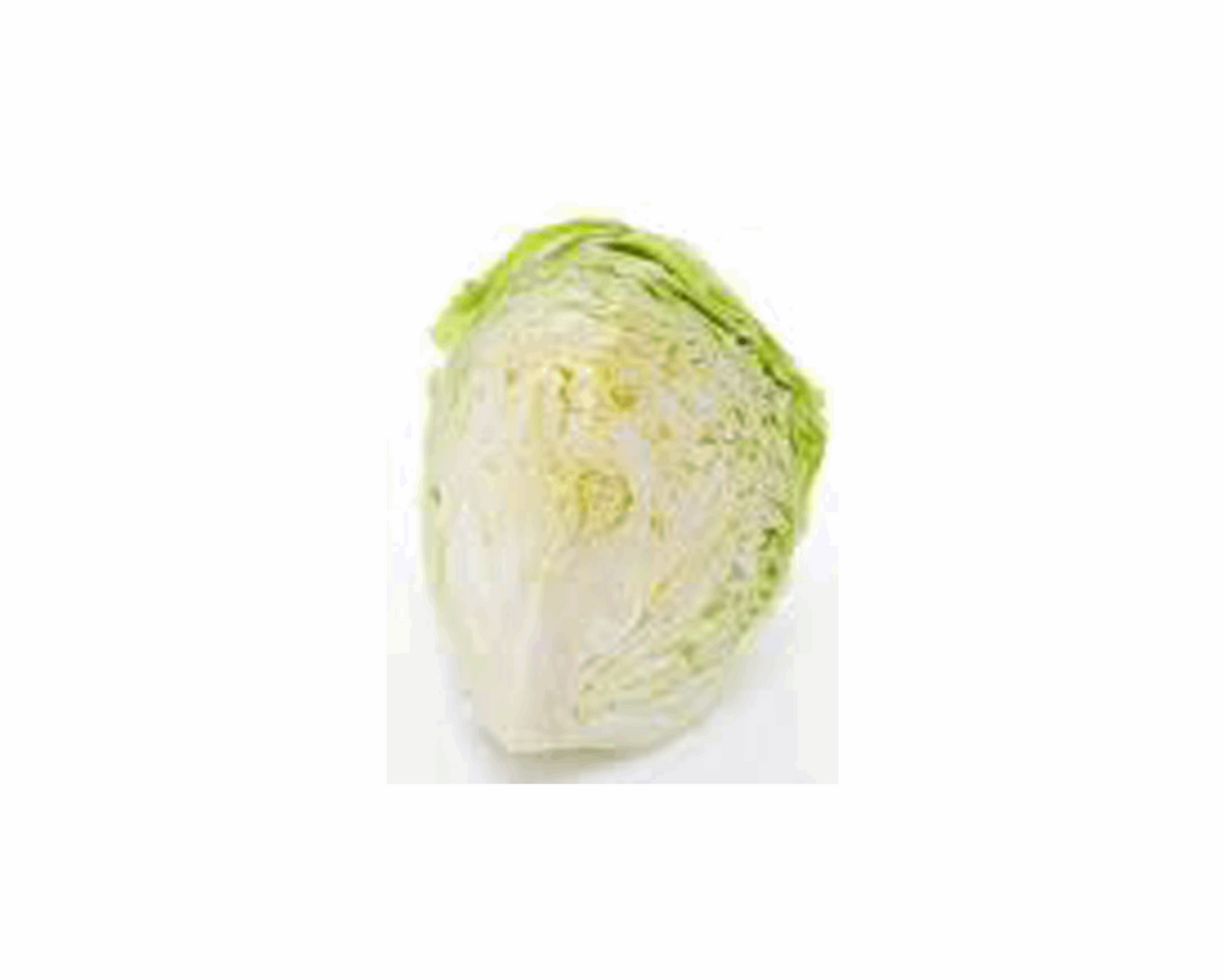 Cabbage Quarter size - Indian Spices