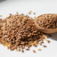 Flax seed