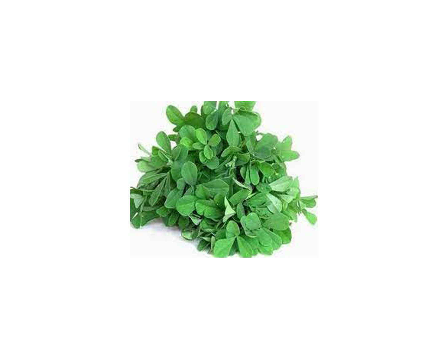 Methi Saag or Mustard Leaves - Indian Spices